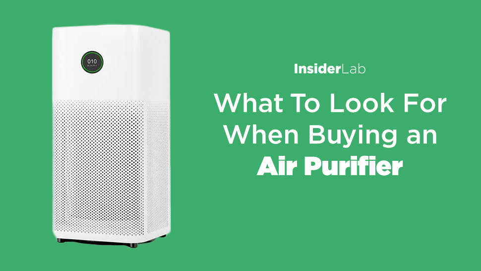 What To Look For When Buying an Air Purifier?