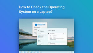 How to Check the Operating System on a Laptop?